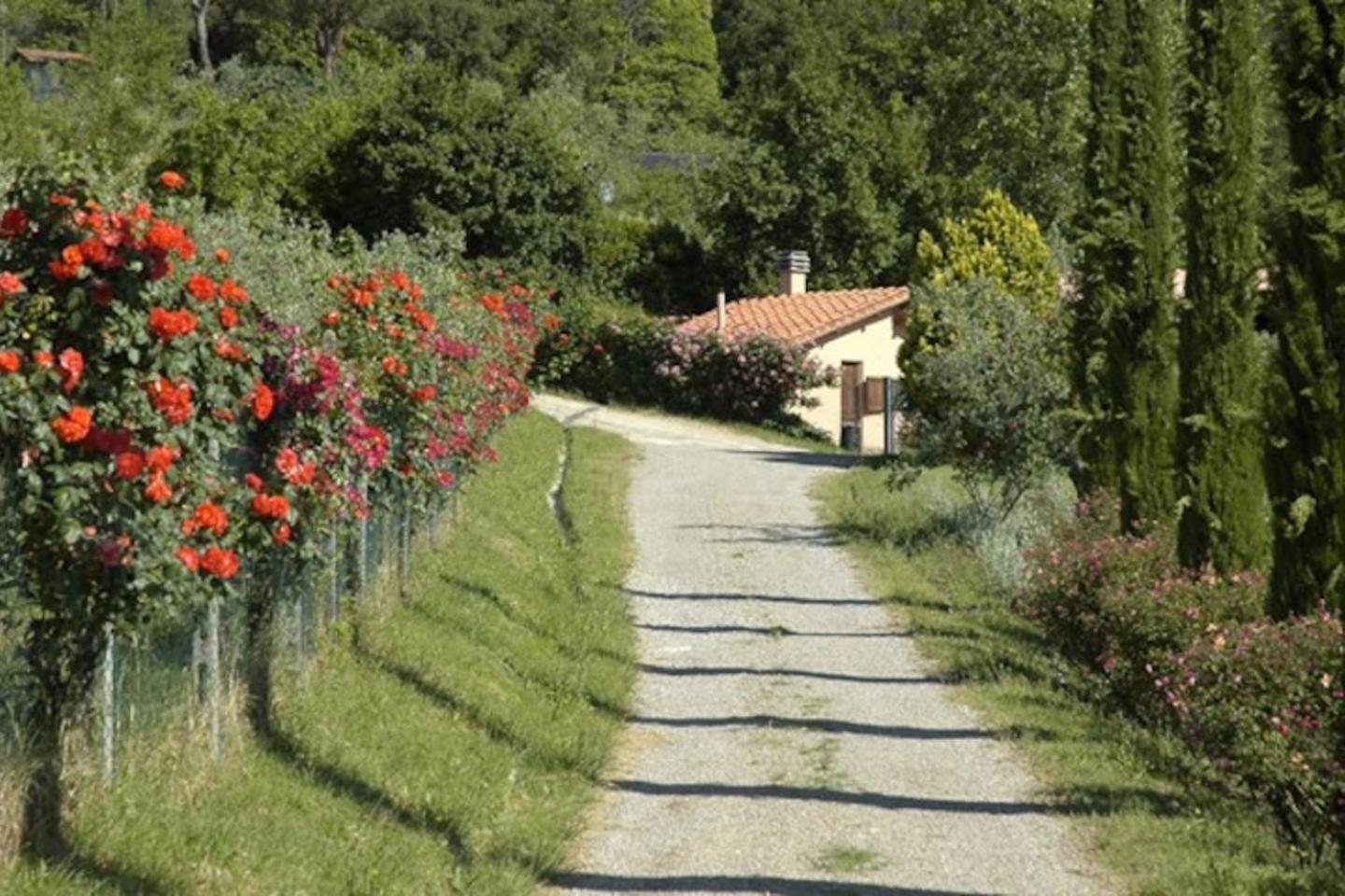 Agriturismo Fattoria Celle Figline Valdarno Værelse billede